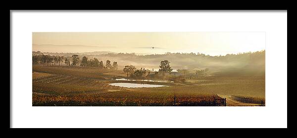 Hunter Valley Framed Print featuring the photograph Wine Country by Rick Drent