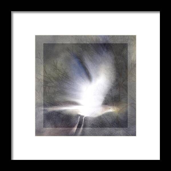 Bird Framed Print featuring the photograph Winged Wonder by Suzy Norris