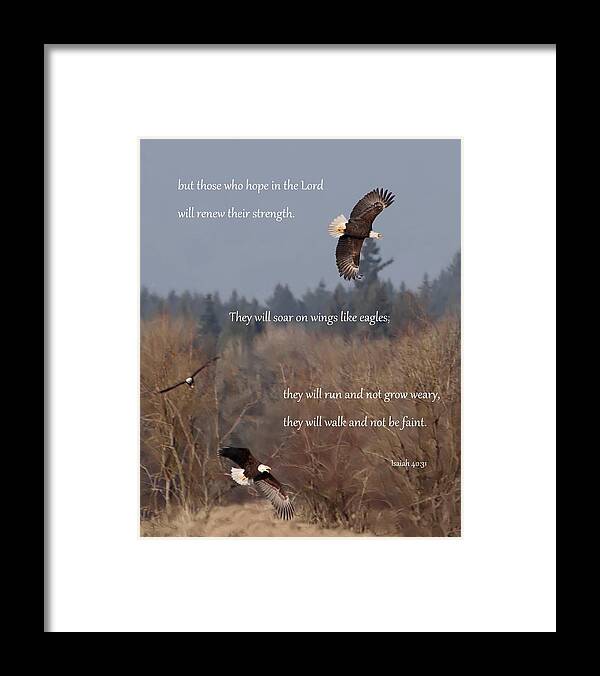 Eagle Framed Print featuring the photograph Wings Like Eagles by Angie Vogel
