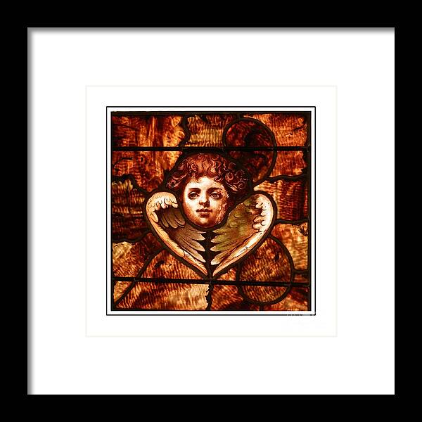 Marcia Lee Jones Framed Print featuring the photograph Wings Of An Angel by Marcia Lee Jones