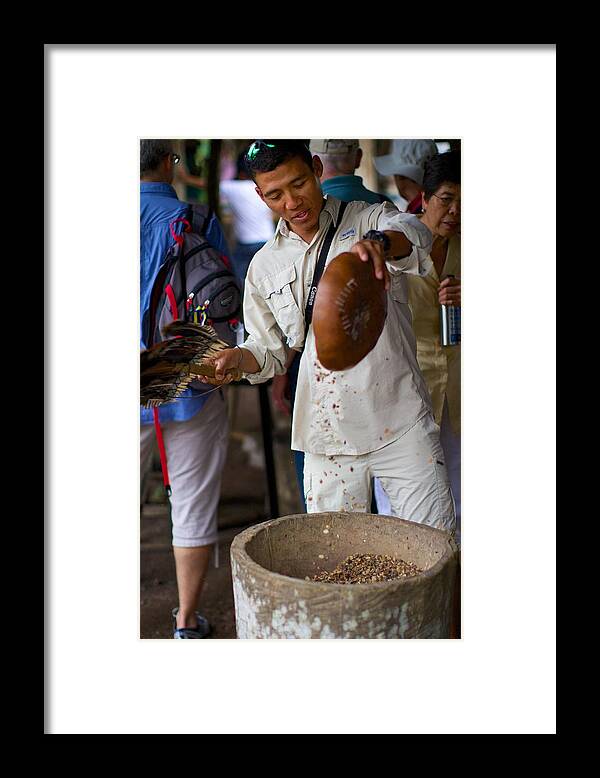 Traditional Coffee Farming Framed Print featuring the photograph Winnowing Coffee by Allan Morrison