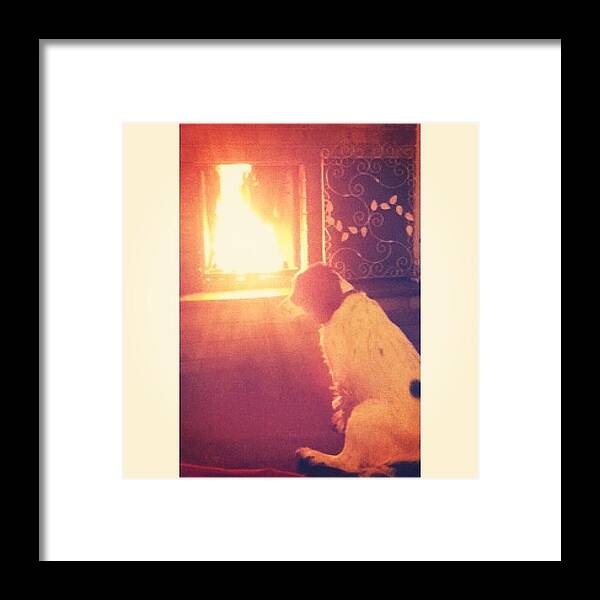 Fire Framed Print featuring the photograph Winteerr 🐶 #dog #fire #winter by Natalie P Burns