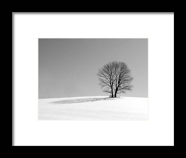 Richard Reeve Framed Print featuring the photograph Winter - Snow Trees in Mono by Richard Reeve