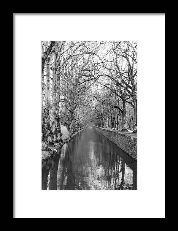 Winter Framed Print featuring the photograph Winter by Alex Lapidus