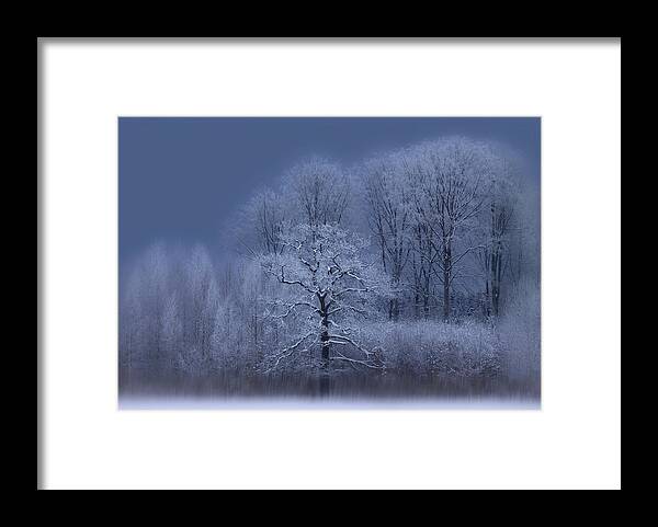 Landscape Framed Print featuring the photograph Winter by Allan Wallberg