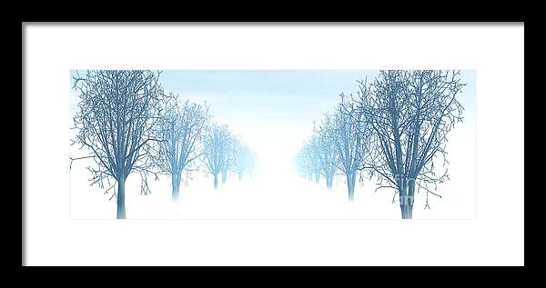 Avenue Framed Print featuring the digital art Winter Avenue by Nicholas Burningham