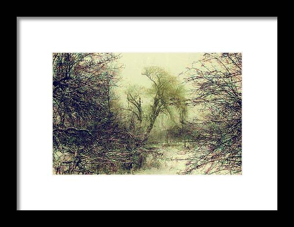 Winter Framed Print featuring the photograph Winter colours by John Stuart Webbstock