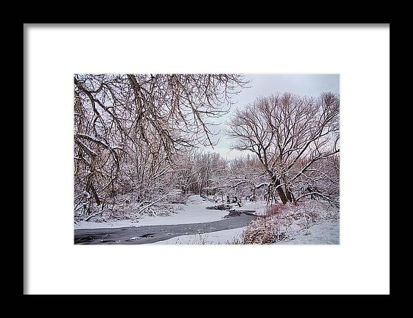 Winter Framed Print featuring the photograph Winter Creek by James BO Insogna