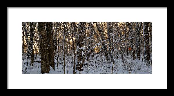 Winter Framed Print featuring the photograph Winter Dawn by Bruce Morrison