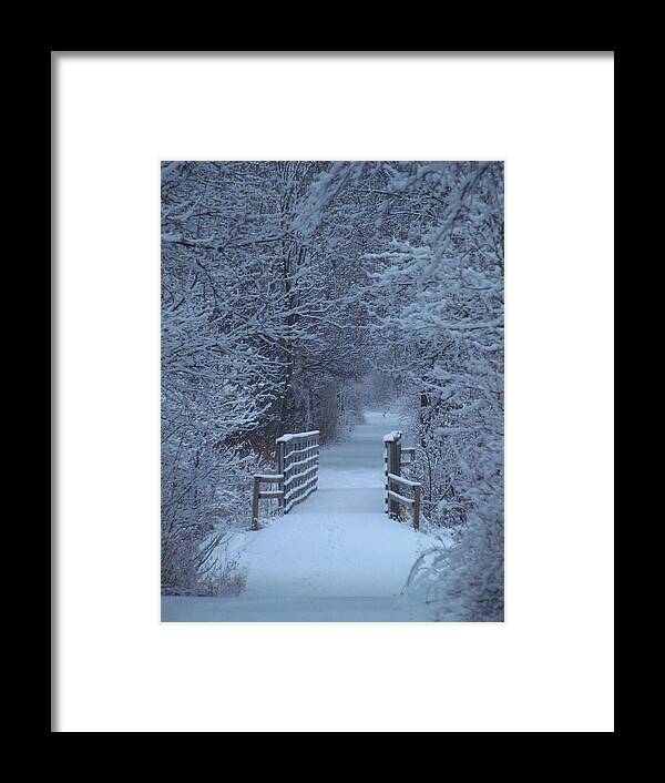 Winter Framed Print featuring the photograph Some Enchanted Evening by Lori Frisch