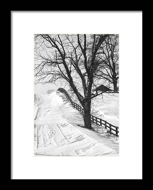 Kentucky Framed Print featuring the photograph Winter Driveway by Wendell Thompson