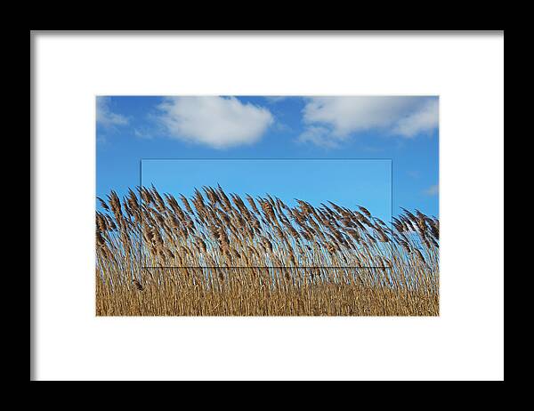 Prairie Framed Print featuring the photograph Prairie Grasslands by Steven Michael