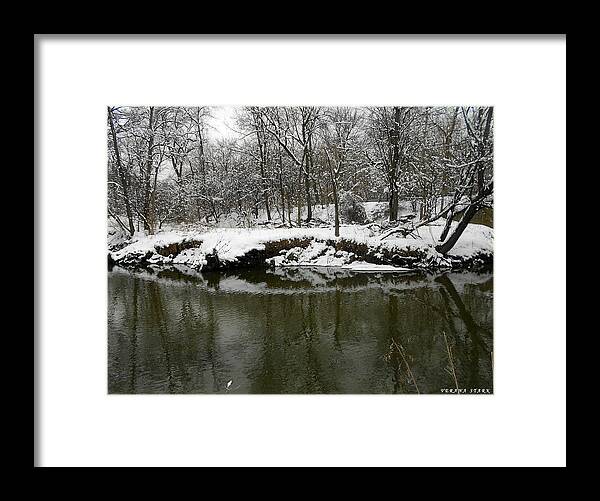 Winter Framed Print featuring the photograph Winter Forest Series 2 by Verana Stark