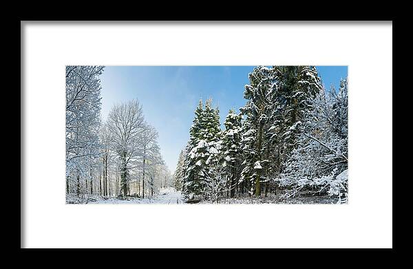 Scenics Framed Print featuring the photograph Winter Forest Snowy Trees Crisp White by Fotovoyager