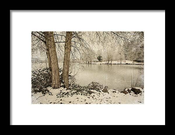 Winter Framed Print featuring the photograph Winter Freeze by Bonnie Bruno
