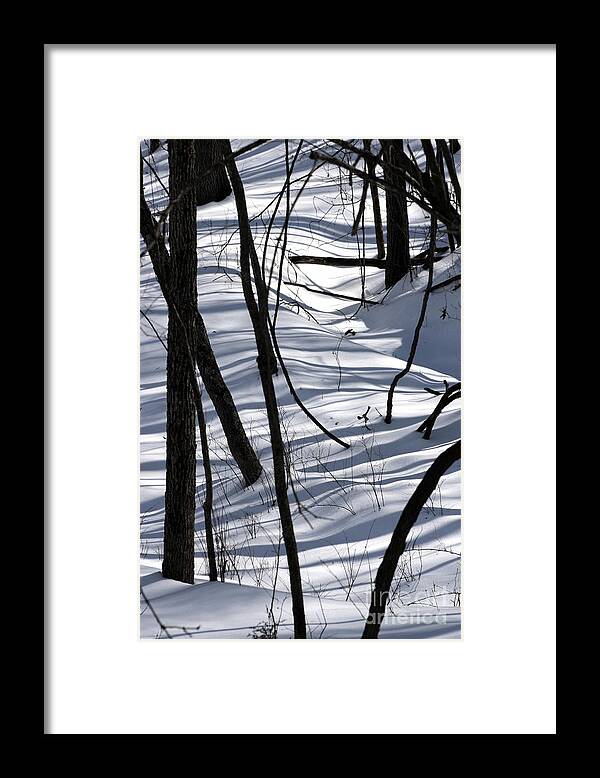 Winter Framed Print featuring the photograph Winter Hillside by Fred Sheridan