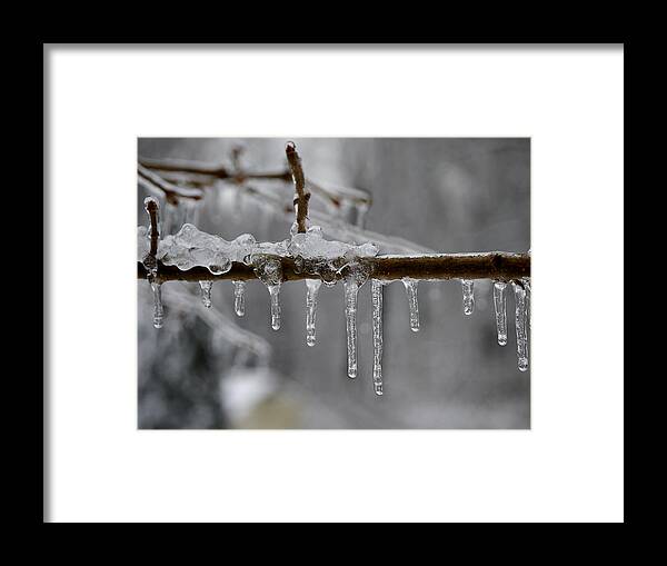 Winter Framed Print featuring the photograph Winter - Ice Drops by Richard Reeve