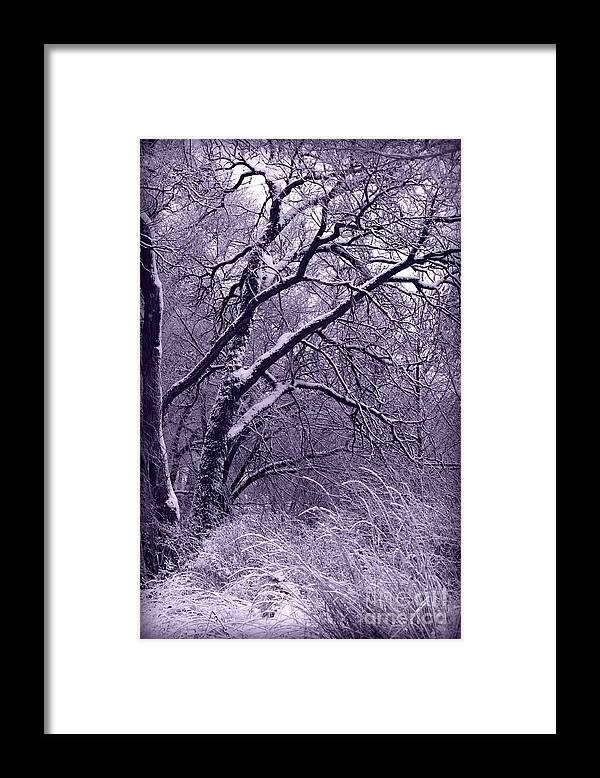 Winter Framed Print featuring the photograph Winter in Purple by Carol Groenen