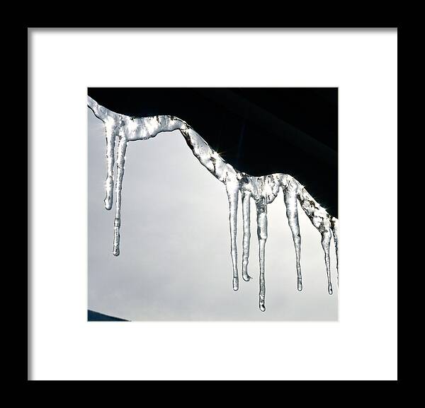 Winter Framed Print featuring the photograph Winter Lace by Yelena Tylkina