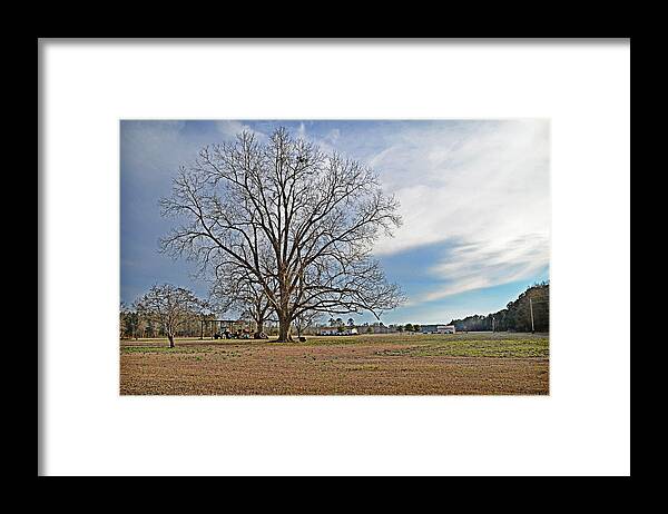 Winter Framed Print featuring the photograph Winter Landscape by Linda Brown