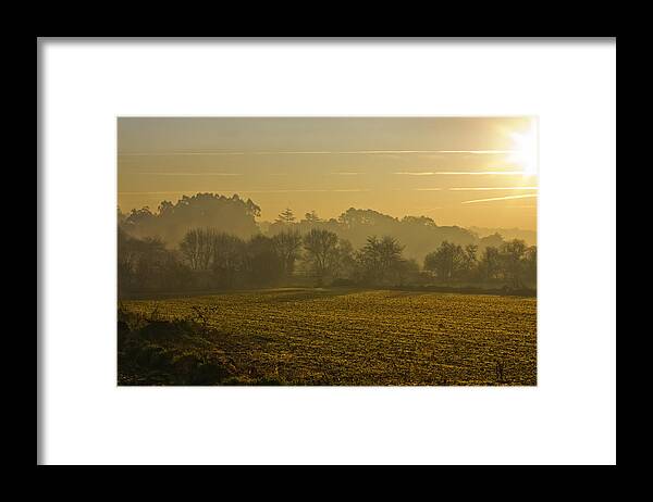 Frost Framed Print featuring the photograph Winter landscape by Paulo Goncalves