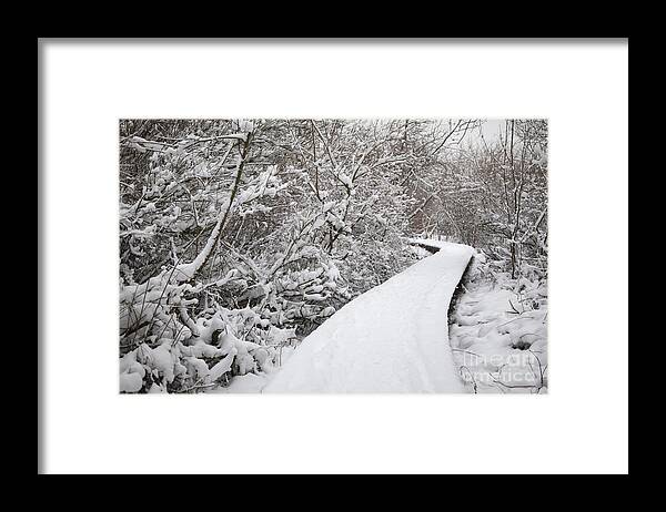 Zwin Framed Print featuring the photograph Winter landscape. V10BEL1214 by Vanessa D -