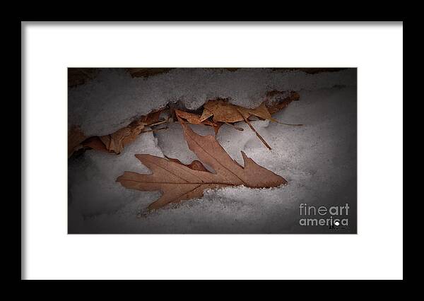 Log Framed Print featuring the photograph Winter Leaves on Log by Grace Grogan