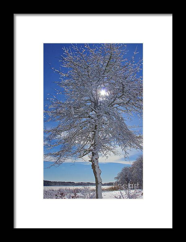 Winter Framed Print featuring the photograph Winter Magic by Amazing Jules