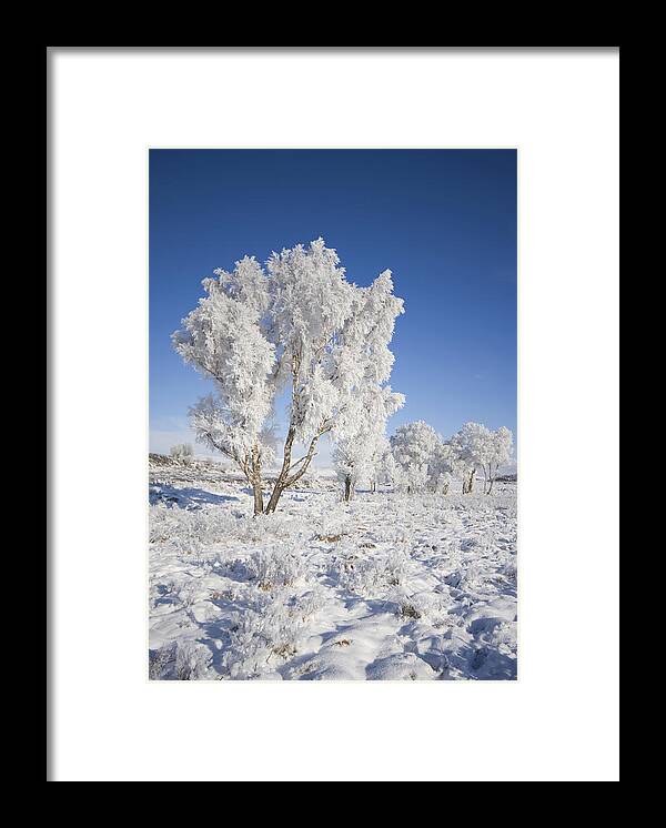 Winter Framed Print featuring the digital art Winter Magic by Pat Speirs