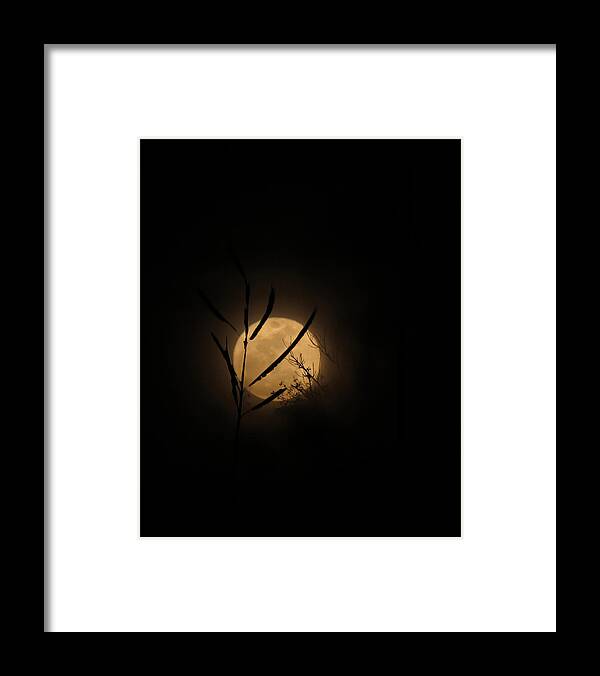 Moon Framed Print featuring the photograph Winter Marsh Moon by Deborah Smith