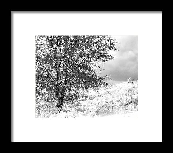 Winter Framed Print featuring the photograph Winter by Mary Underwood