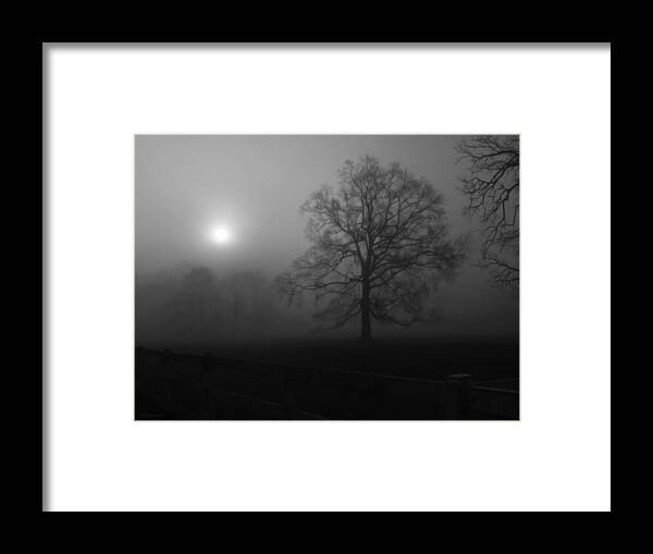 Landscape Framed Print featuring the photograph Winter Oak in Fog by Deborah Smith