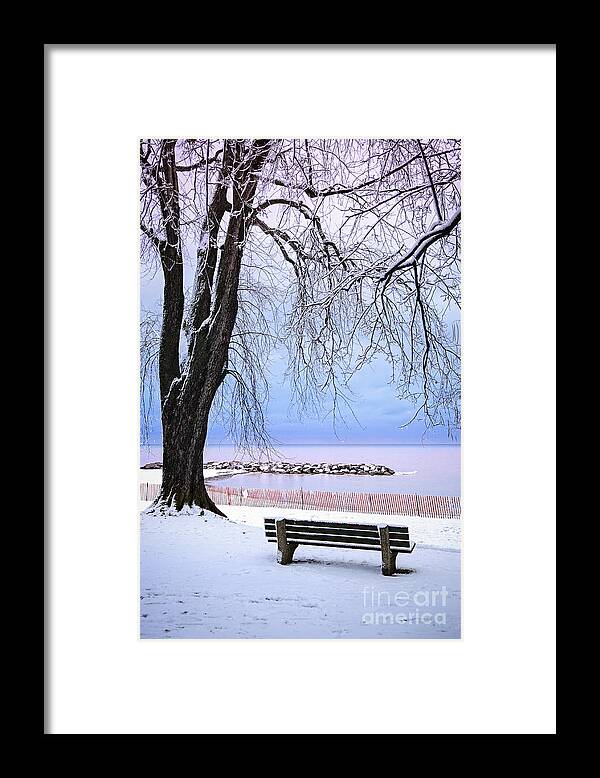 Winter Framed Print featuring the photograph Winter park in Toronto 2 by Elena Elisseeva