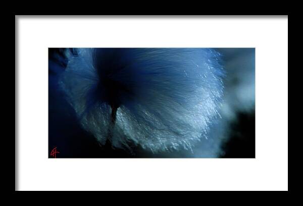 Colette Framed Print featuring the photograph Winter Ready by Colette V Hera Guggenheim