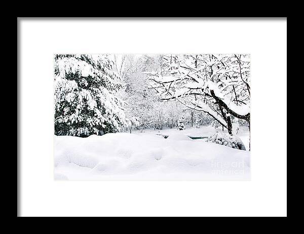 Winter Framed Print featuring the photograph Winter Scene by Gwen Gibson