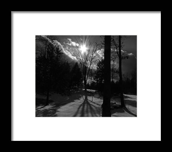 Tree Framed Print featuring the photograph Winter Shadow by Mim White