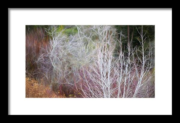California Native Plants Framed Print featuring the photograph Winter Shrub Border with Alder by Saxon Holt