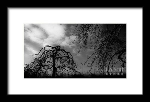 Apple Framed Print featuring the photograph Winter Silhouette by Michael Arend