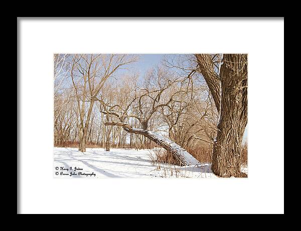 Trees Framed Print featuring the photograph Winter Solitude by Hany J