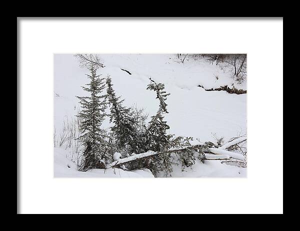 Snow Framed Print featuring the photograph Winter Solitude by Jim Sauchyn