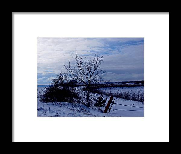 Frigid Framed Print featuring the photograph Winter Solitude by Wild Thing