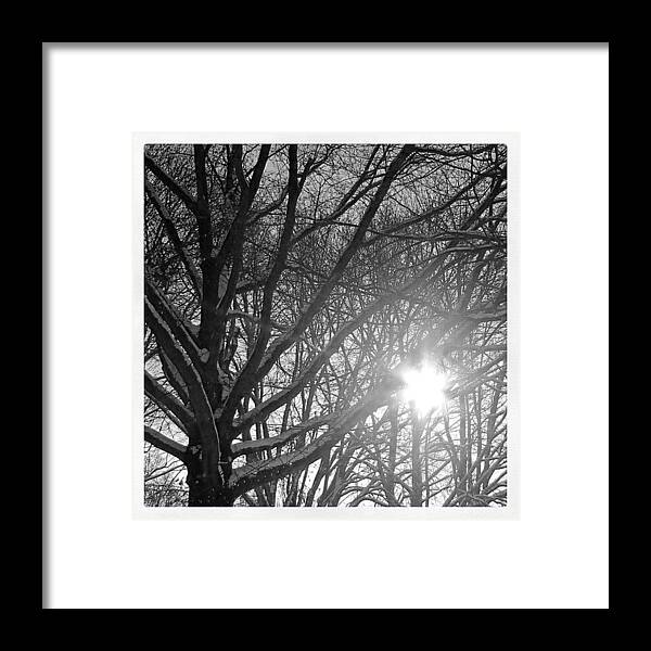 Black And White Framed Print featuring the photograph Winter Sun by Justin Connor