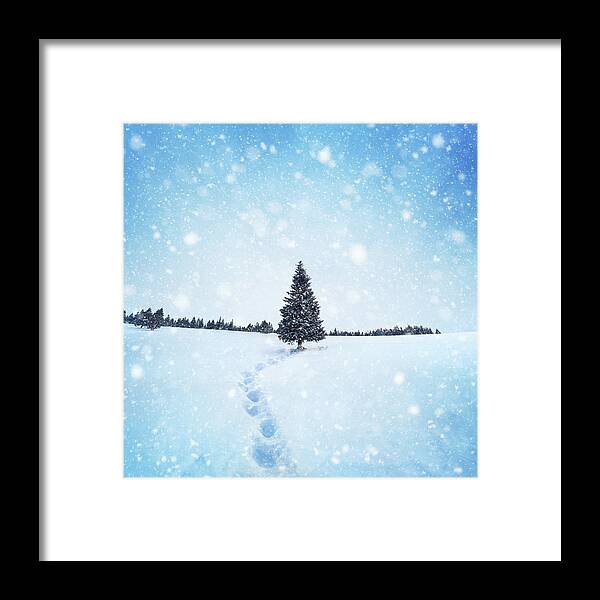 Scenics Framed Print featuring the photograph Winter Tree by Borchee