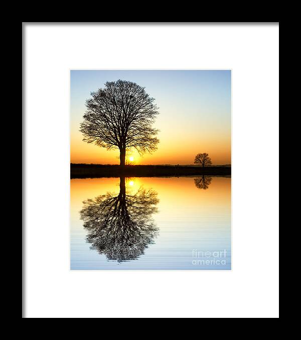Oak Framed Print featuring the photograph Winter Tree Reflections by Tim Gainey