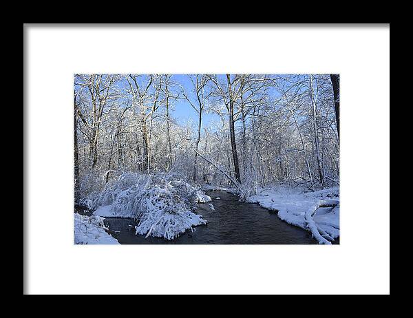Winter Framed Print featuring the photograph Winter Wonderland by Forest Floor Photography