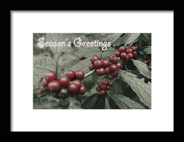 Winter Framed Print featuring the photograph Winterberry Greetings by Photographic Arts And Design Studio