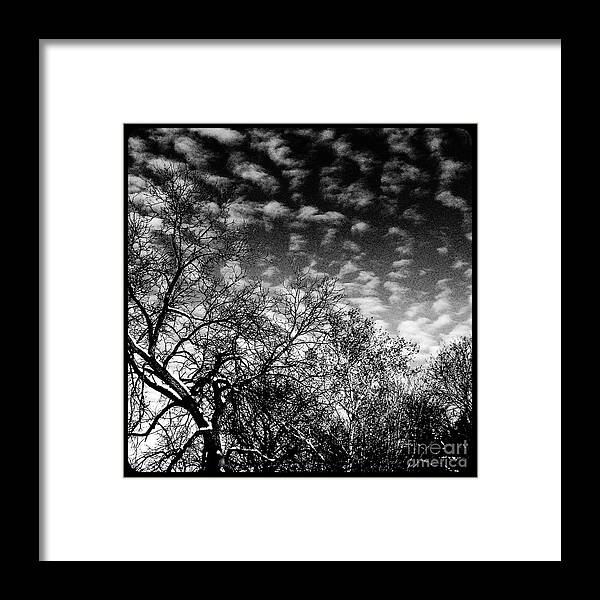  Illinois Framed Print featuring the photograph Winterfold - Monochrome by Frank J Casella