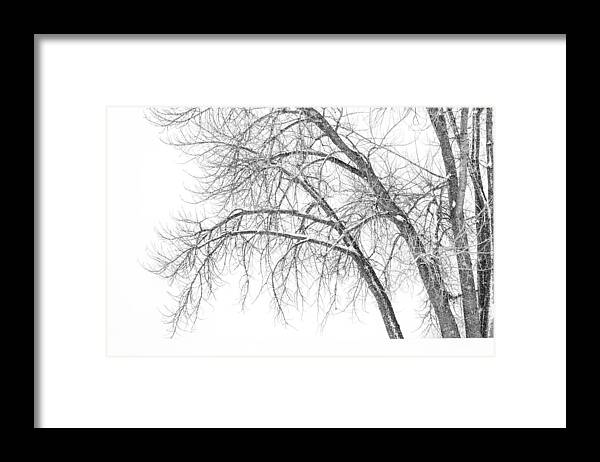 Winter Framed Print featuring the photograph Winter's Weight by Darren White