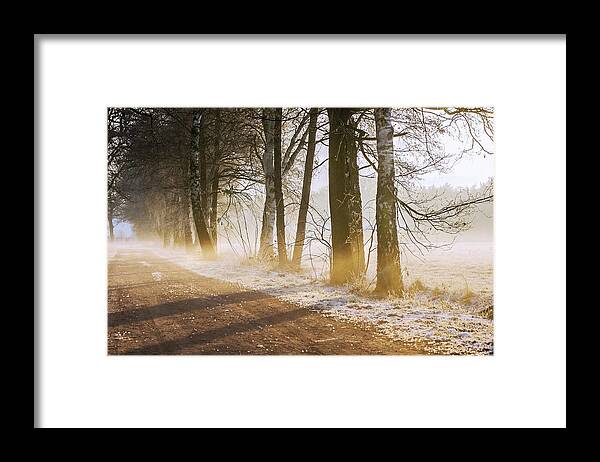 Tranquility Framed Print featuring the photograph Winter...where Are You by Bob Van Den Berg Photography
