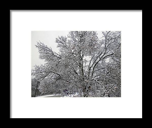 Winter Framed Print featuring the photograph Wintery 1 by Pema Hou
